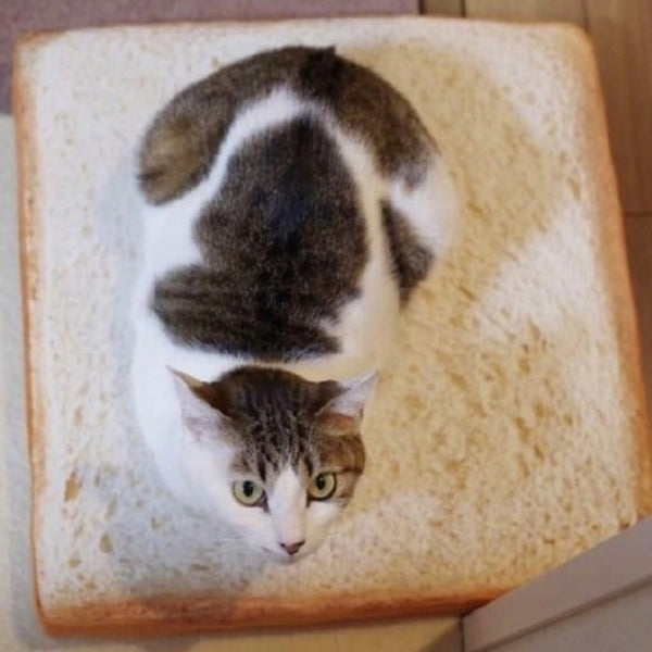 Toast Bread Cushion