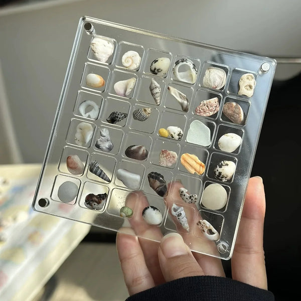 ORIGINAL DESIGN - Acrylic Magnetic Seashell Display Box