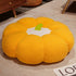 products/45-90cm-Kawaii-Ins-Plush-Plants-Pillow-Pumpkin-Futon-Super-Soft-Fruits-Pumpkin-Toys-Kids-Girls.jpg_640x640_801930ce-e099-4769-b639-64591e2be57f.jpg