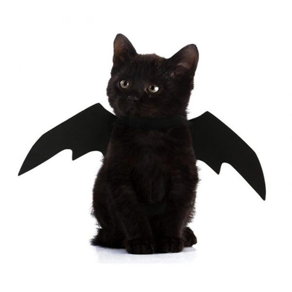Cat Bat (cat not included)