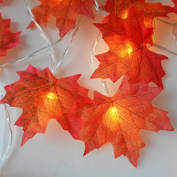 Maple Led Leaves